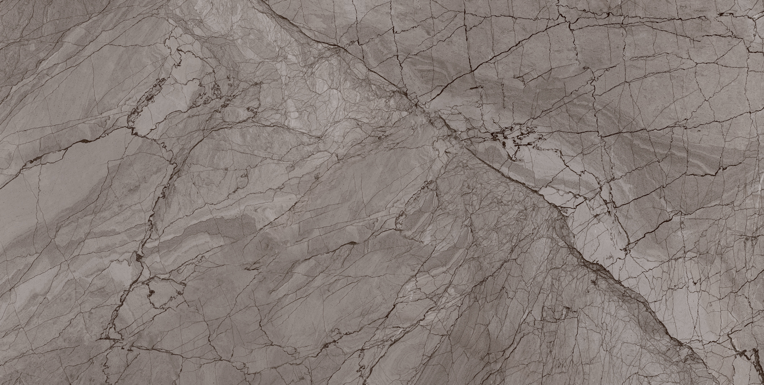 طوسی تیره/ Face2