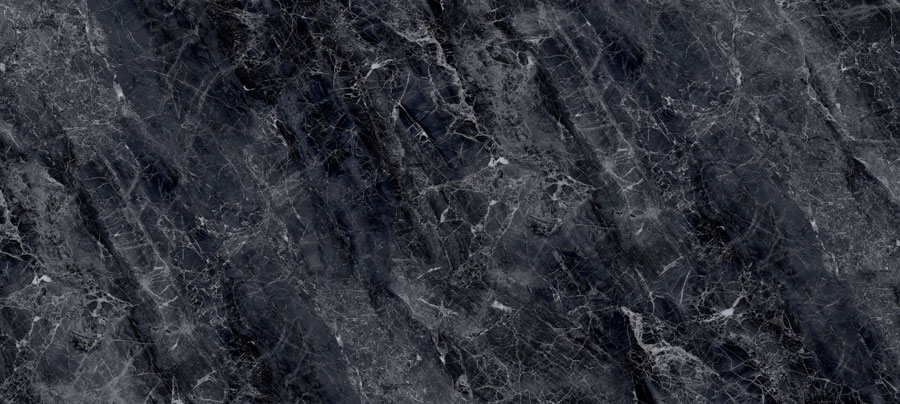 طوسی تیره/ Face1