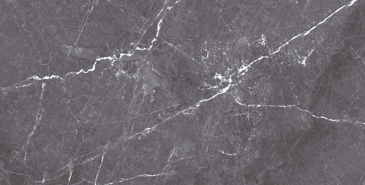 طوسی تیره/ Face1