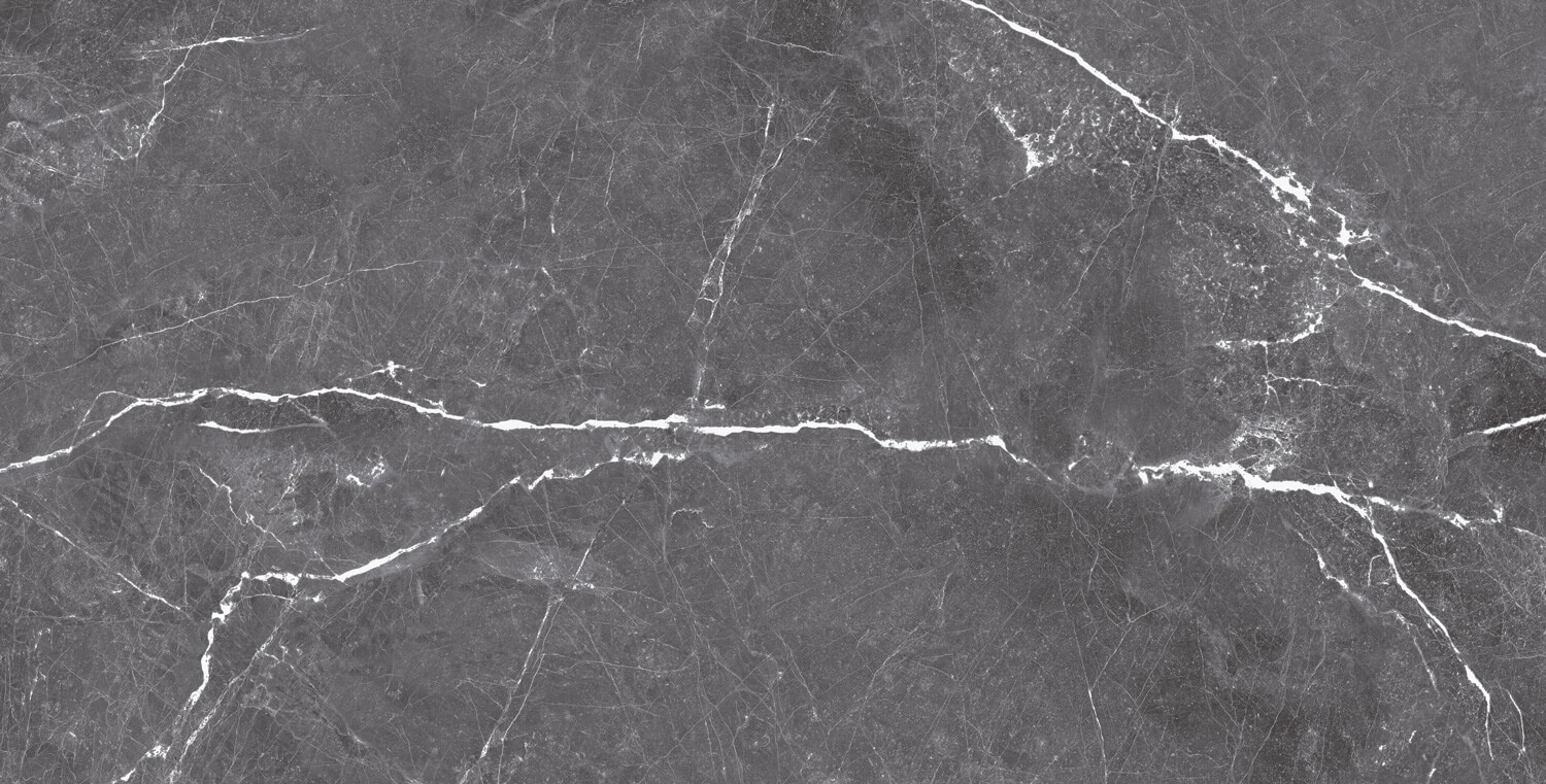 طوسی تیره/ Face2