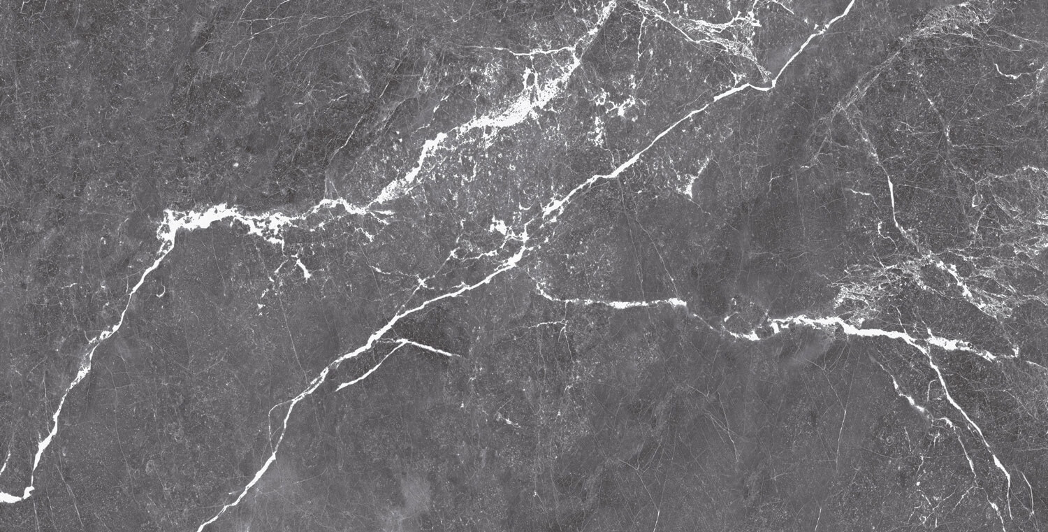 طوسی تیره/ Face4