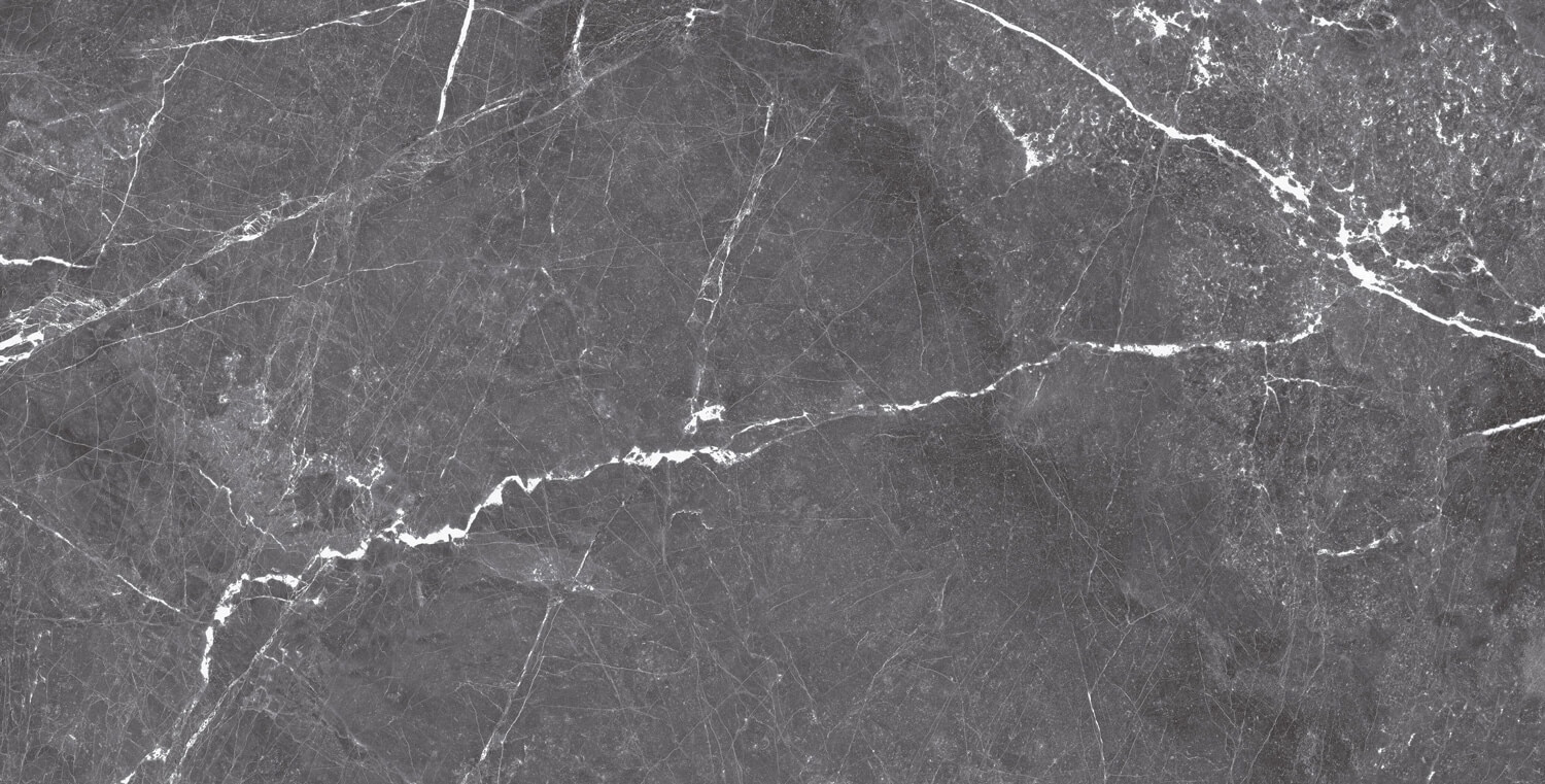 طوسی تیره/ Face5