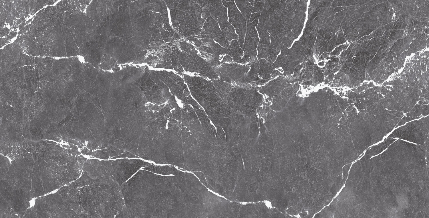 طوسی تیره/ Face6