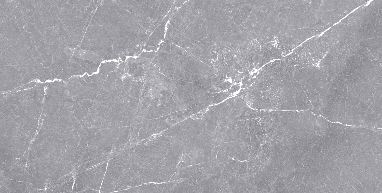 طوسی روشن/ Face1