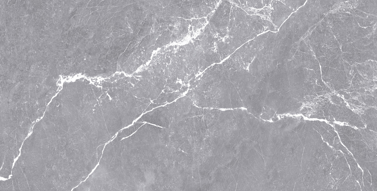 طوسی روشن/ Face4