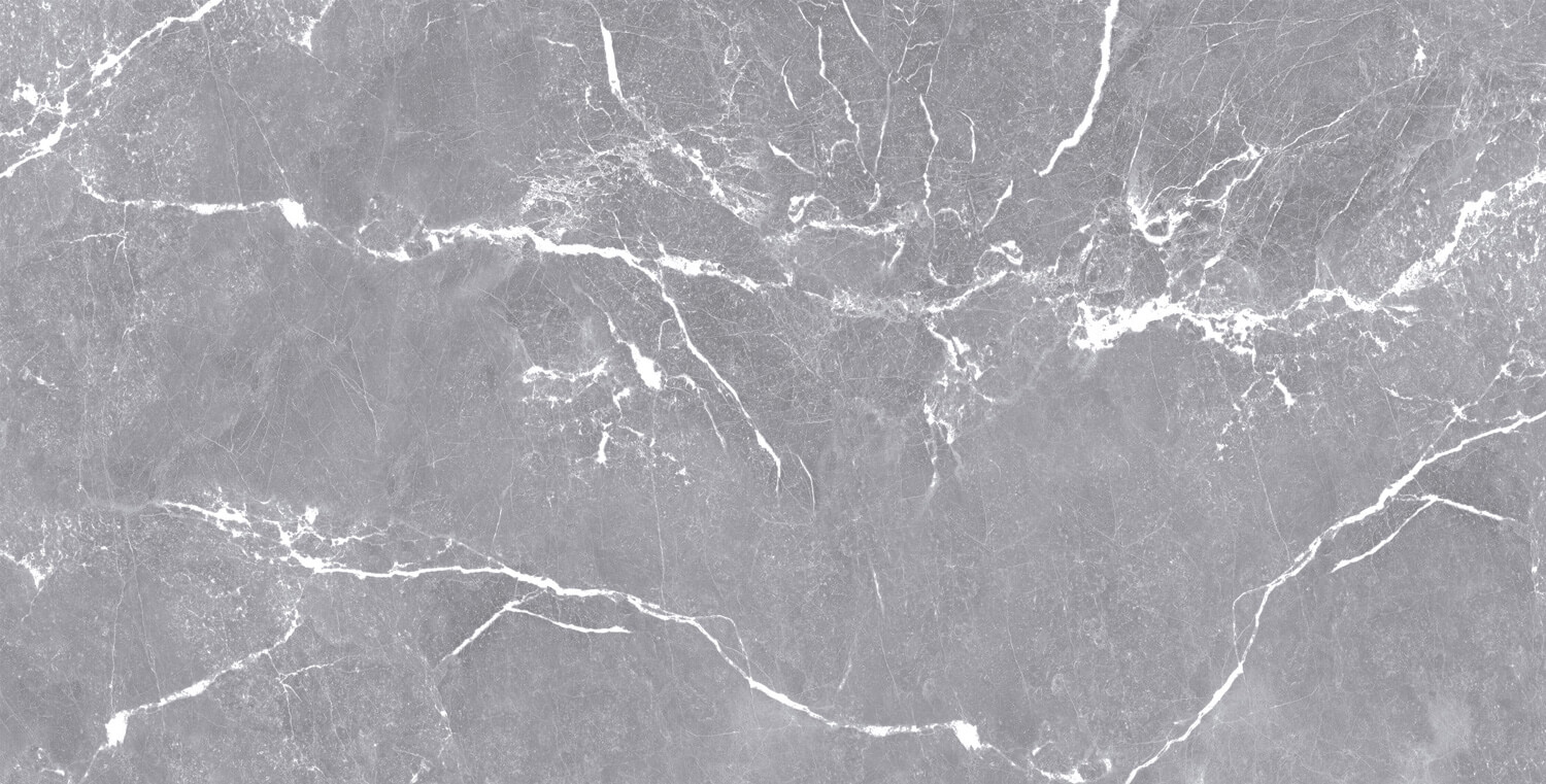 طوسی روشن/ Face6