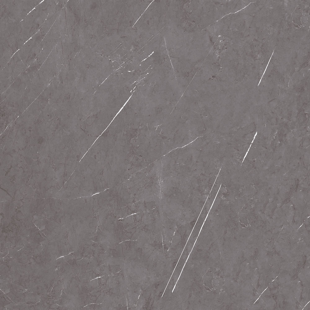 طوسی تیره/ Face1