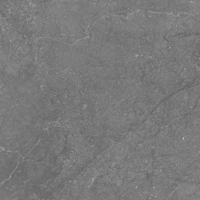 طوسی تیره/ Face2