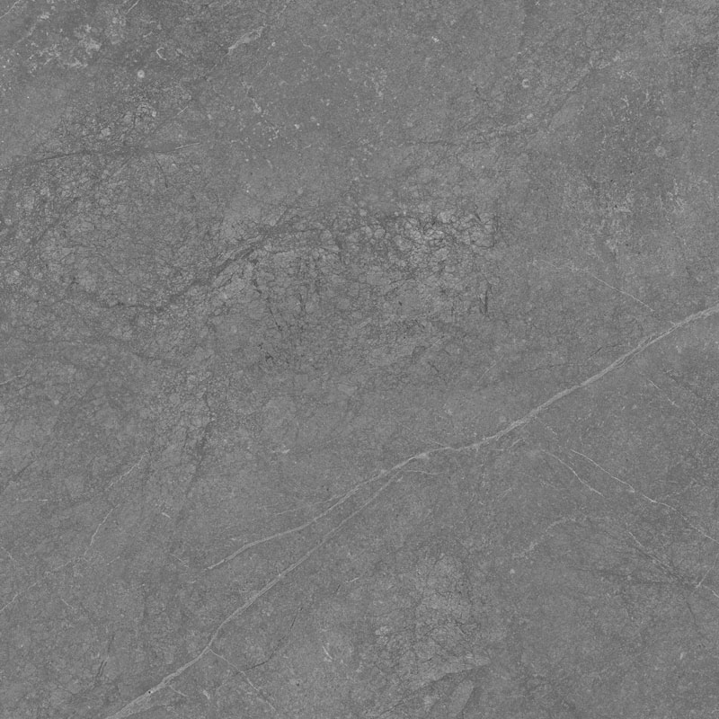 طوسی تیره/ Face4