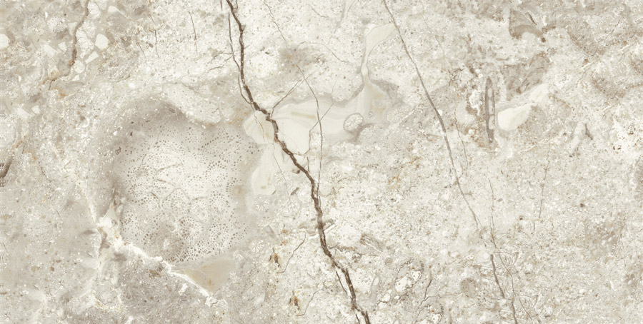 طوسی تیره/ Face1