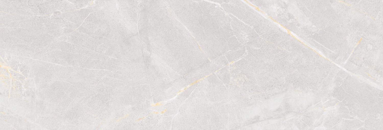 طوسی روشن/ Face1