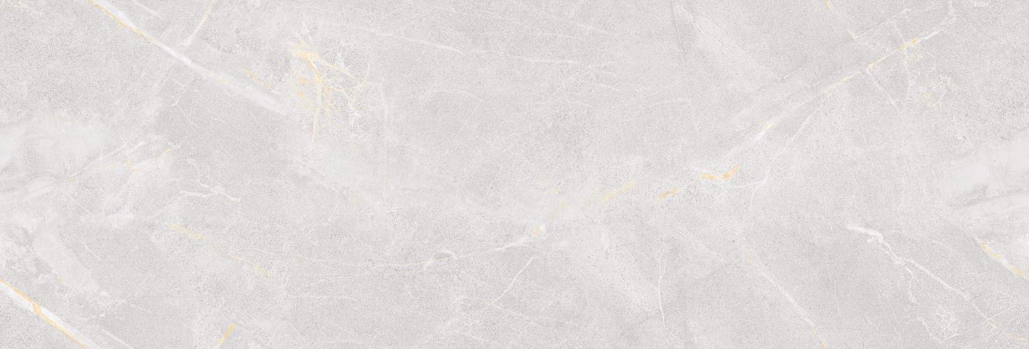 طوسی روشن/ Face2