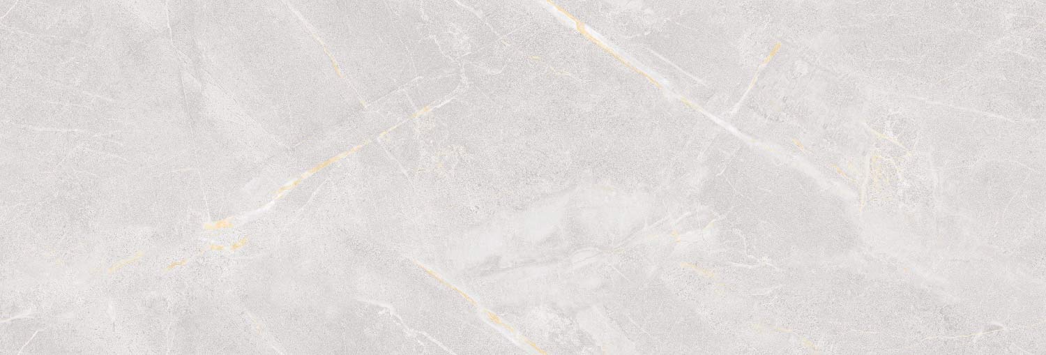 طوسی روشن/ Face3