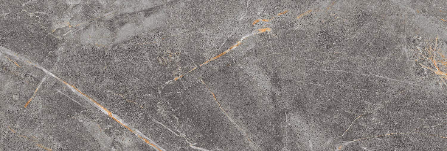 طوسی تیره/ Face1