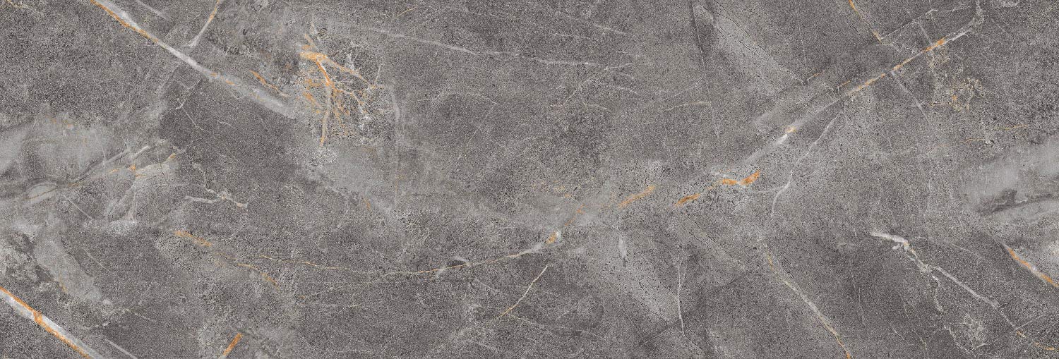 طوسی تیره/ Face2