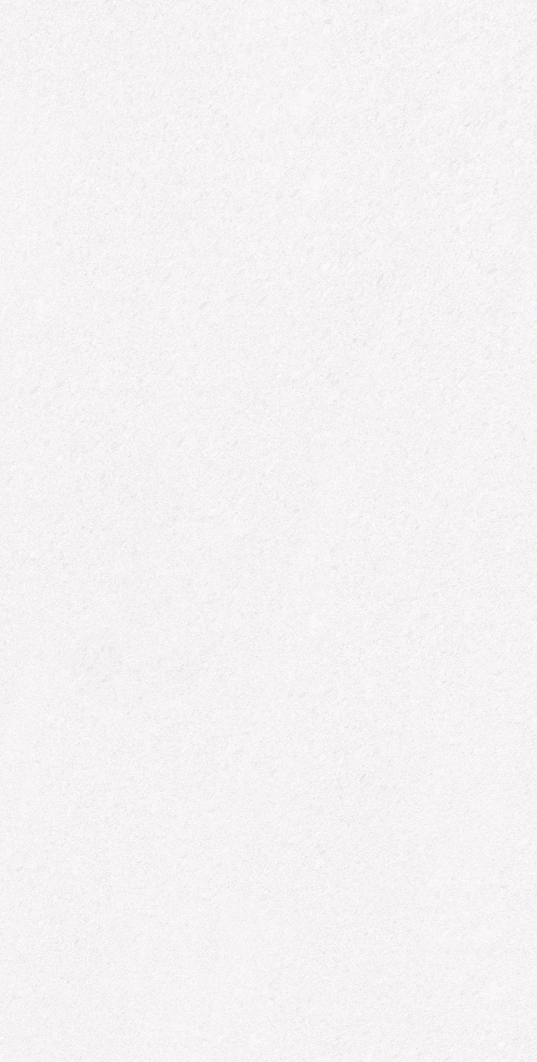 طوسی روشن/ Face1