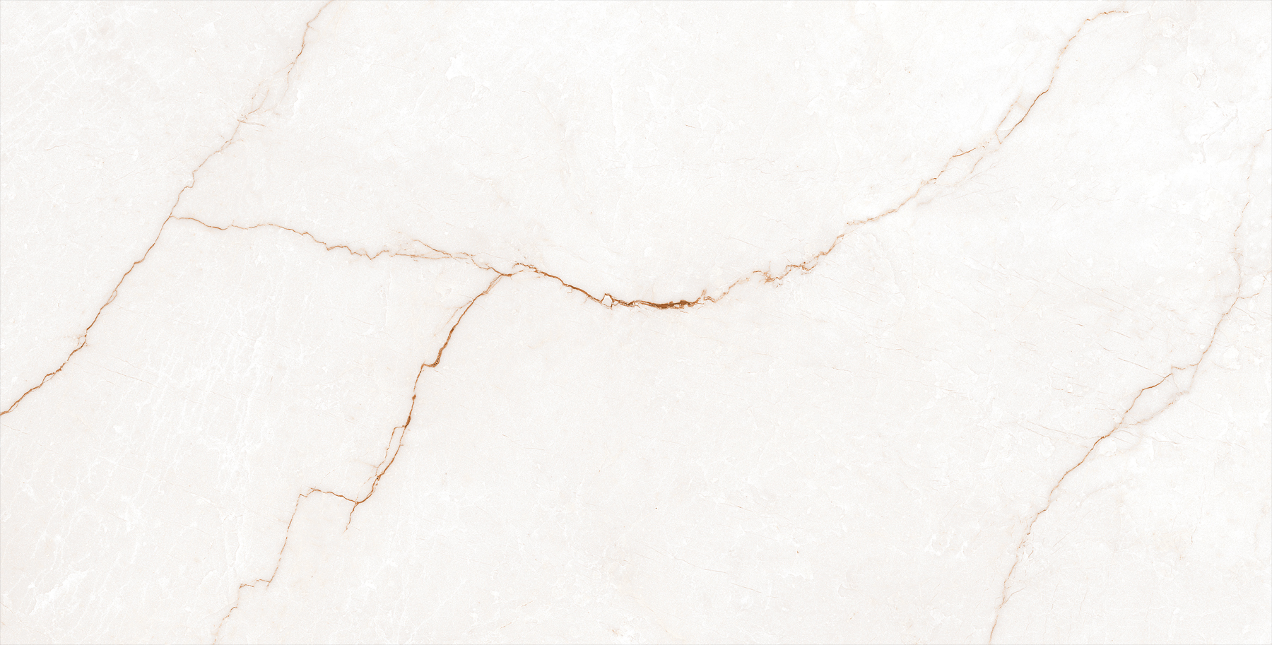 استخوانی/ Face 1