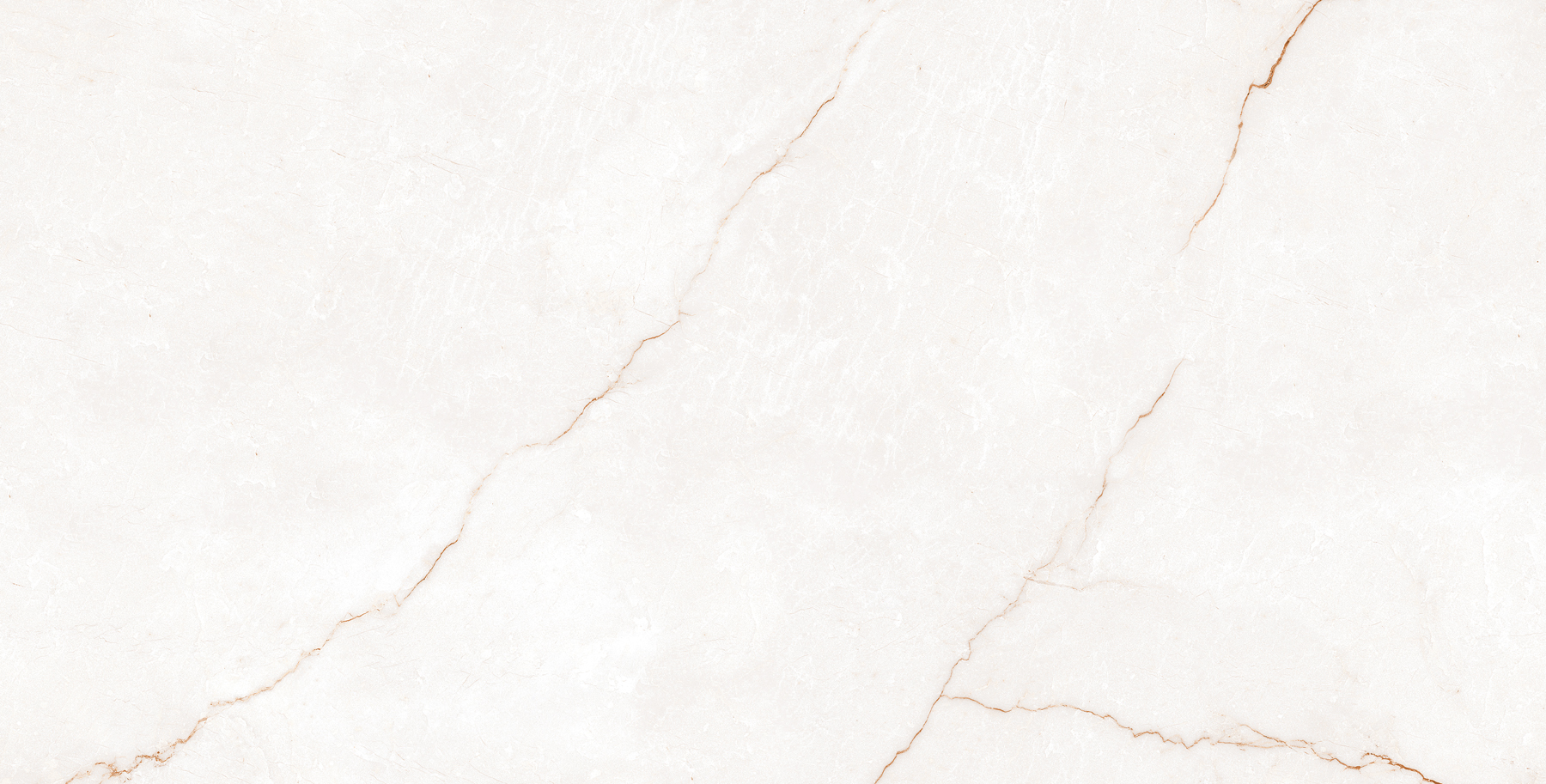 استخوانی/ Face 4