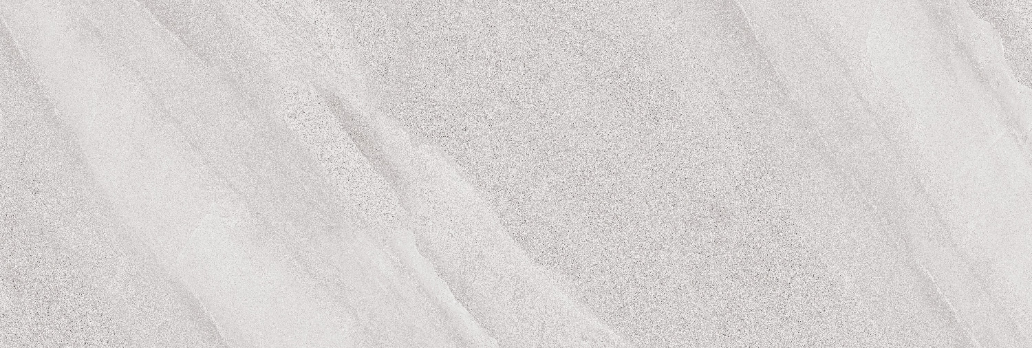 طوسی روشن/ Face1