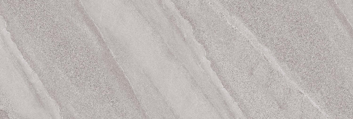 طوسی تیره/ Face2