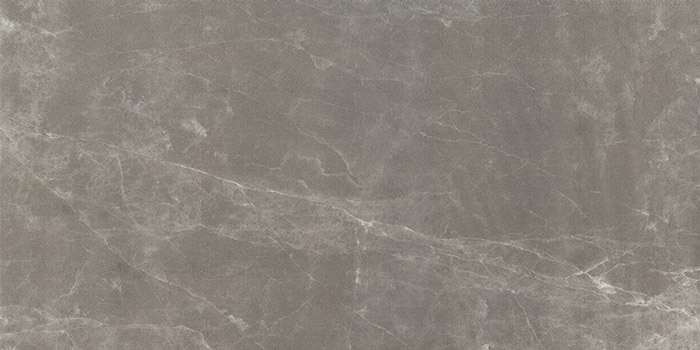 طوسی تیره/ Face1