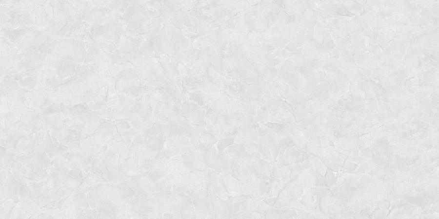 طوسی تیره/ Face1