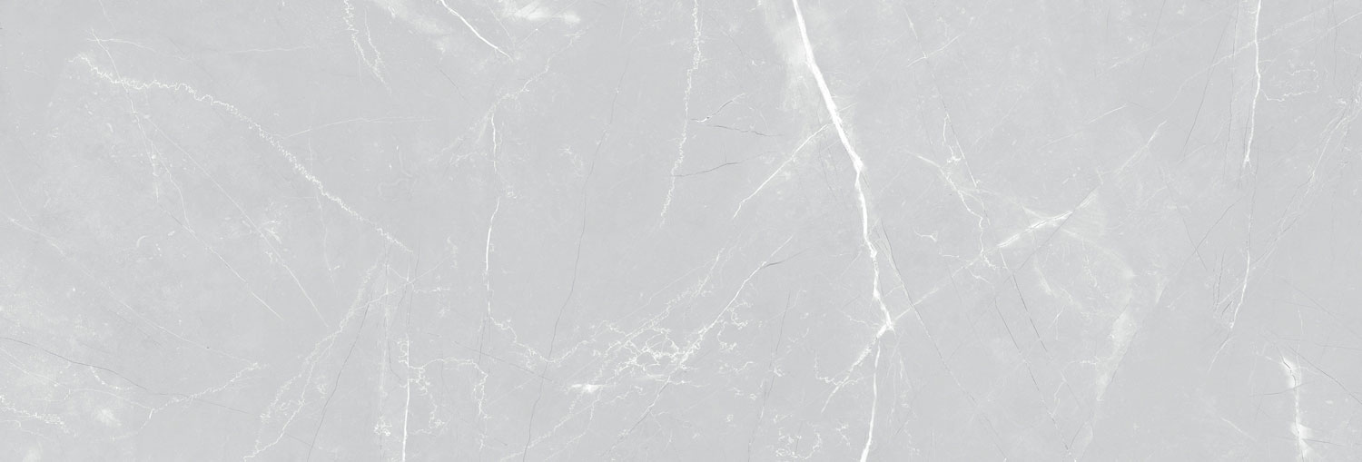 طوسی روشن/ Face1