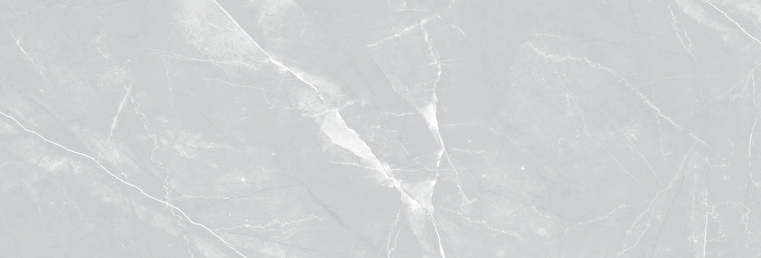 طوسی روشن/ Face2