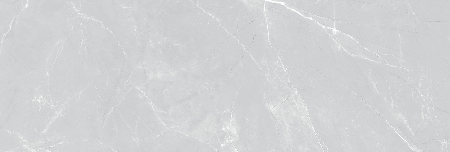 طوسی روشن/ Face4