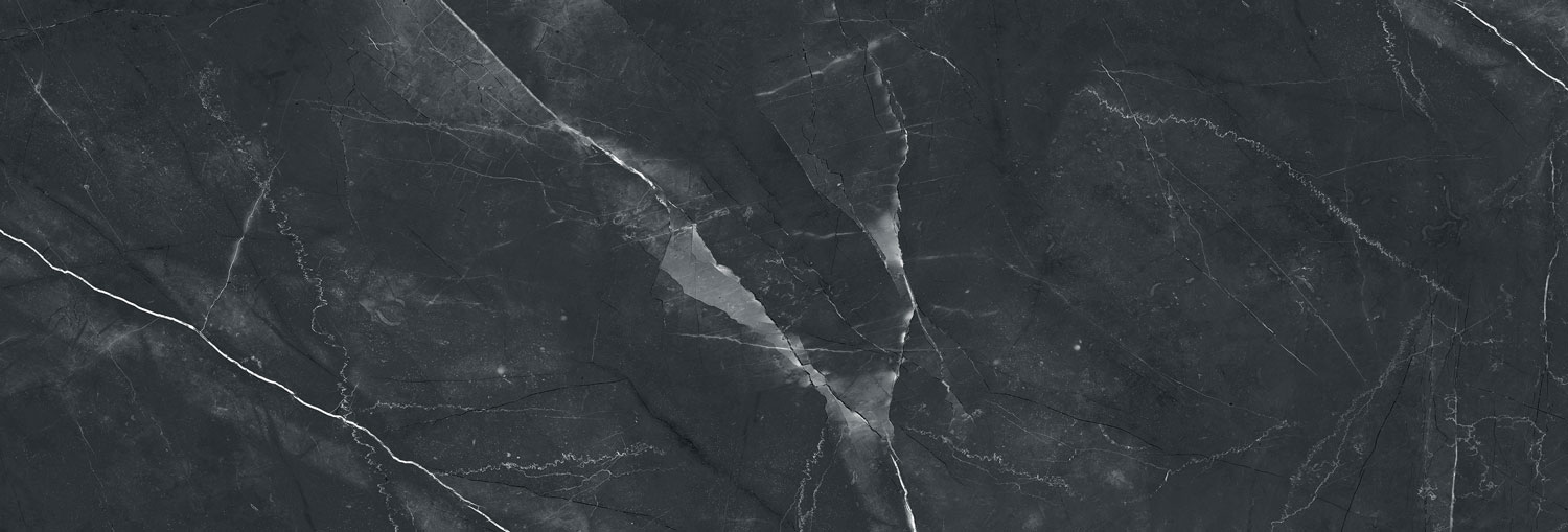 طوسی تیره/ Face2