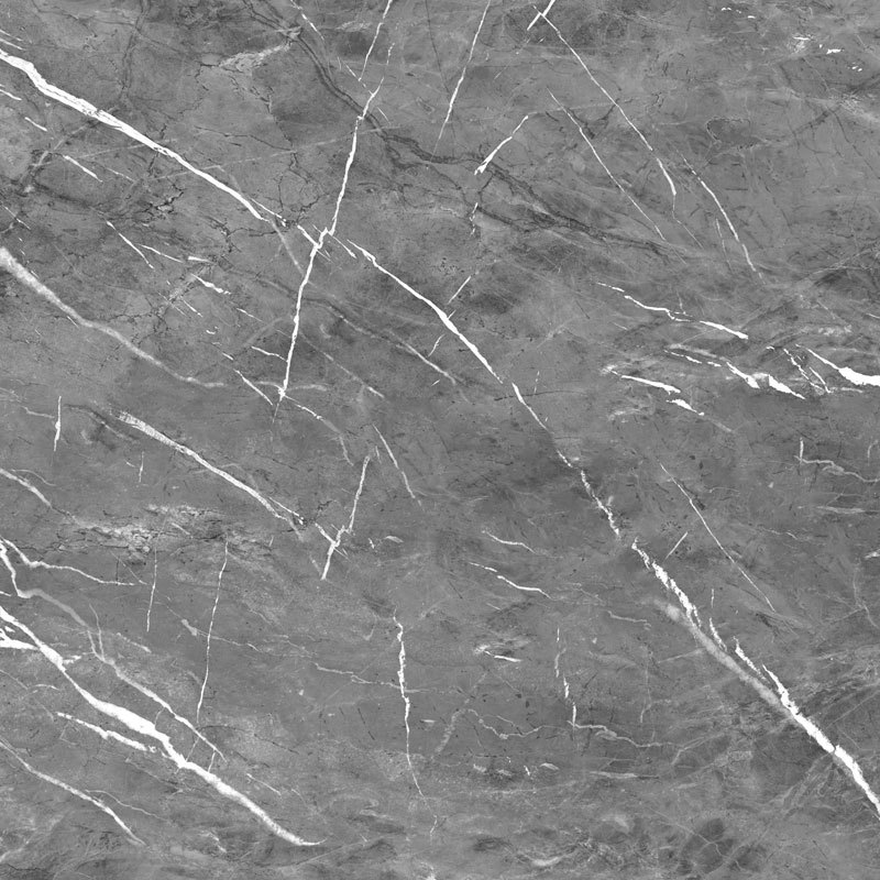 طوسی تیره/ Face1