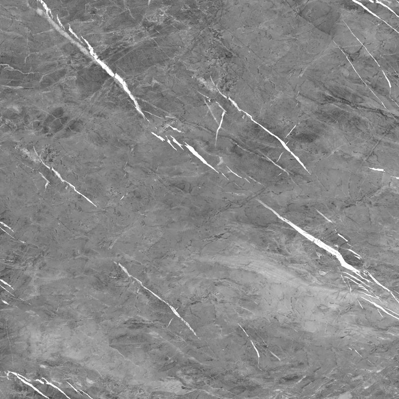 طوسی تیره/ Face4