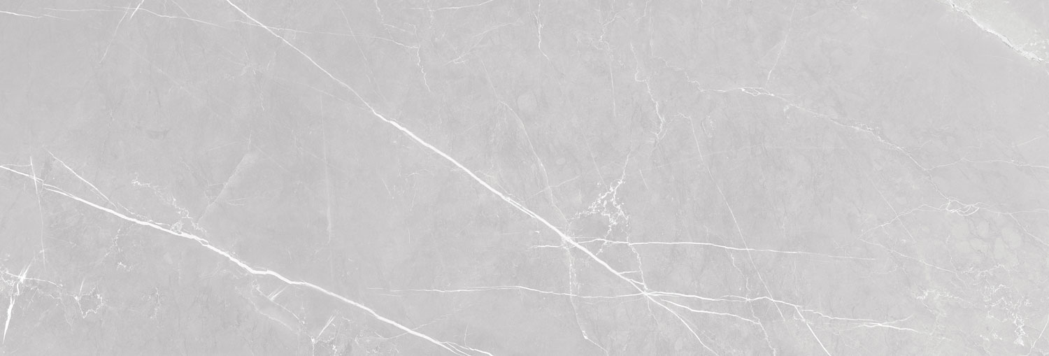 طوسی روشن/ Face1