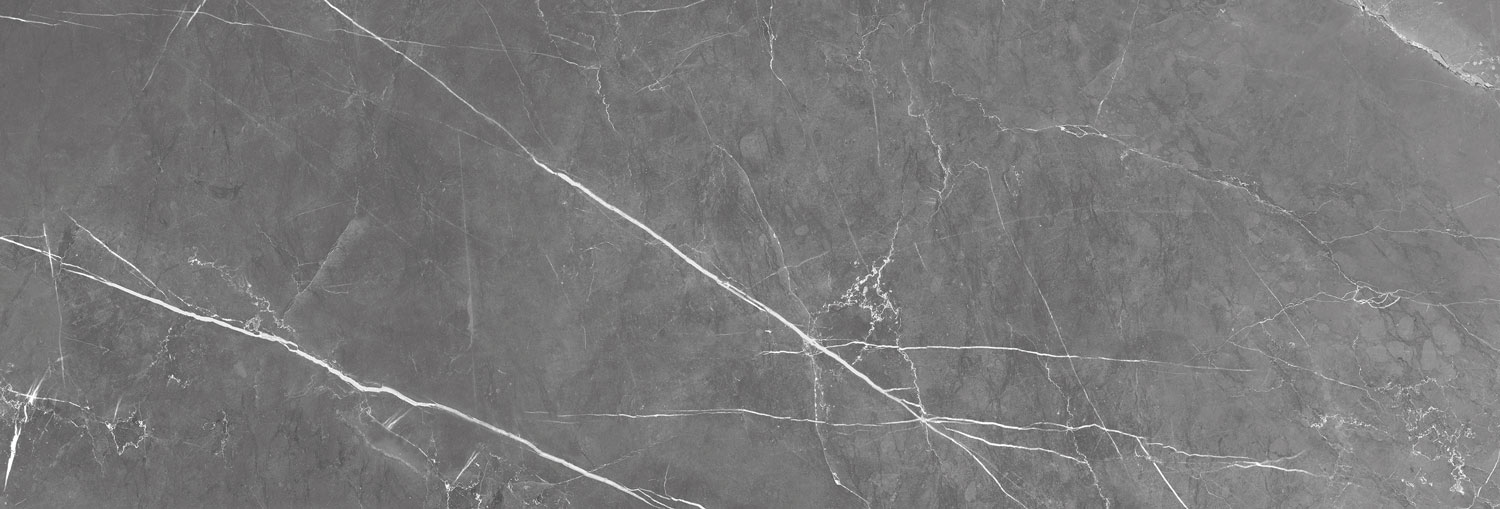 طوسی تیره/ Face1