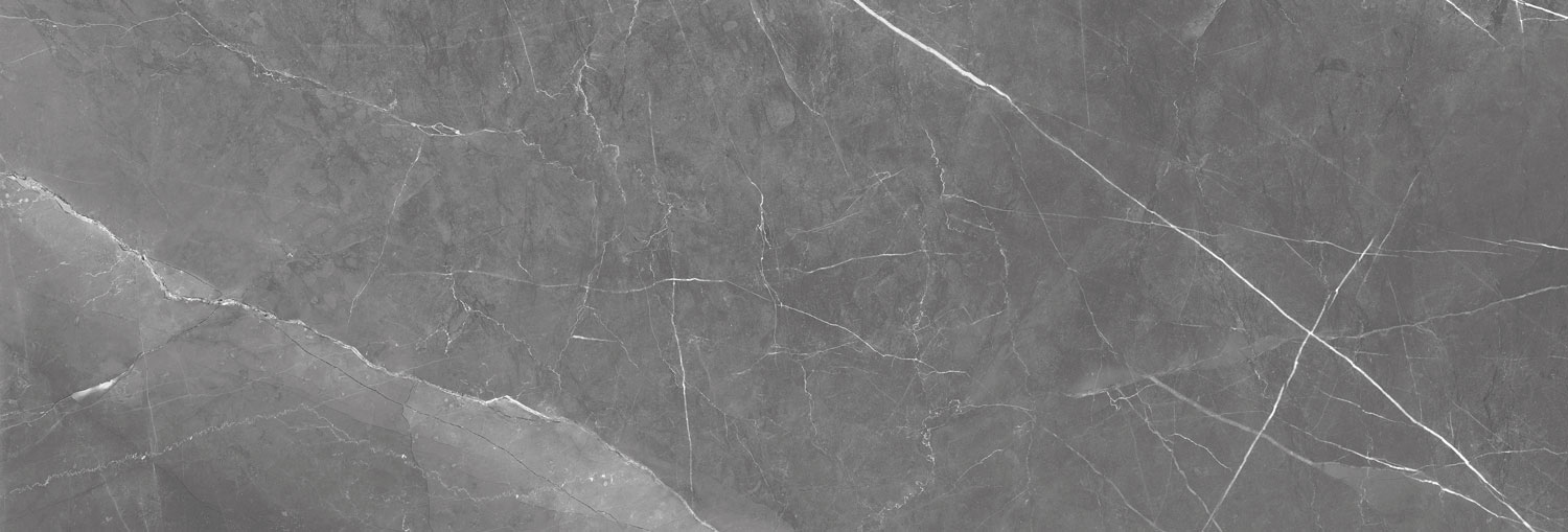 طوسی تیره/ Face3