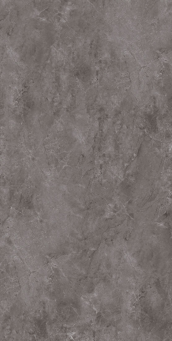 طوسی تیره/ Face2