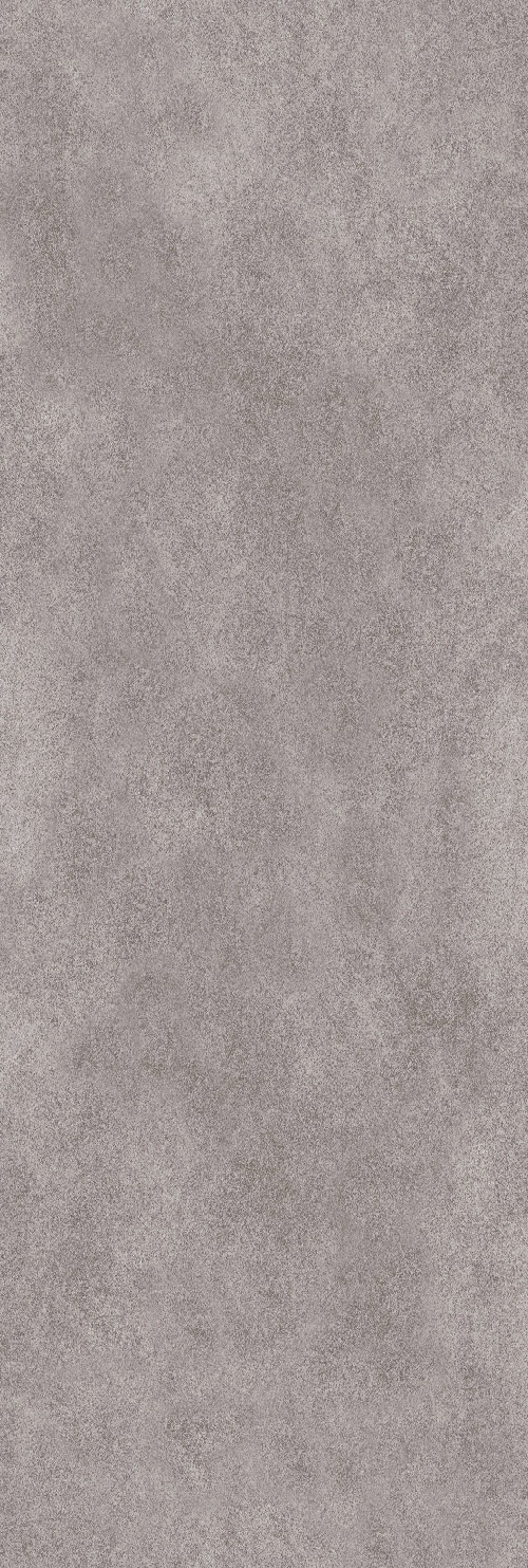 طوسی تیره/ Face1