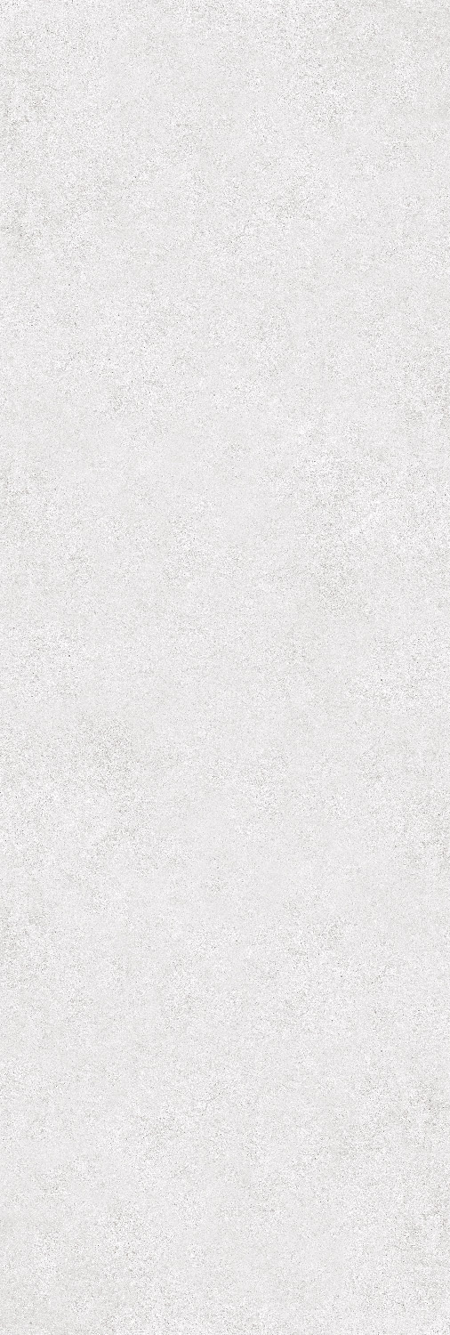 طوسی روشن/ Face1