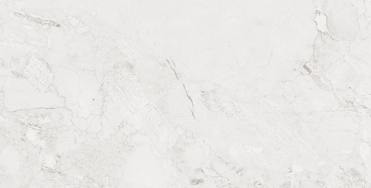 طوسی روشن/ Face4