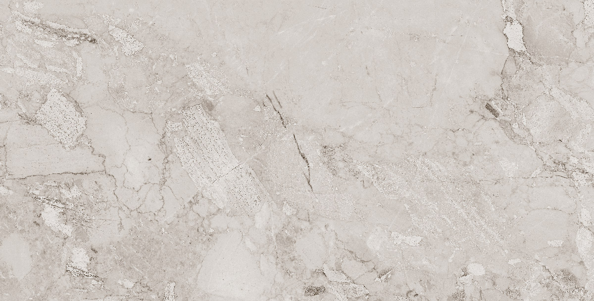 طوسی تیره/ Face4