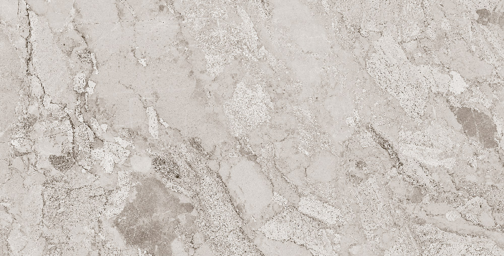 طوسی تیره/ Face5