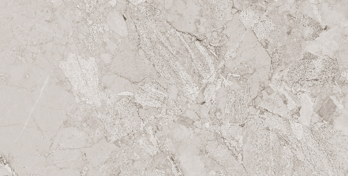 طوسی تیره/ Face6