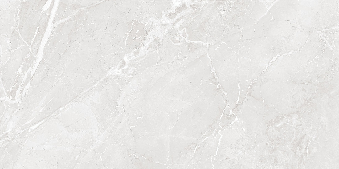 طوسی روشن/ Face1