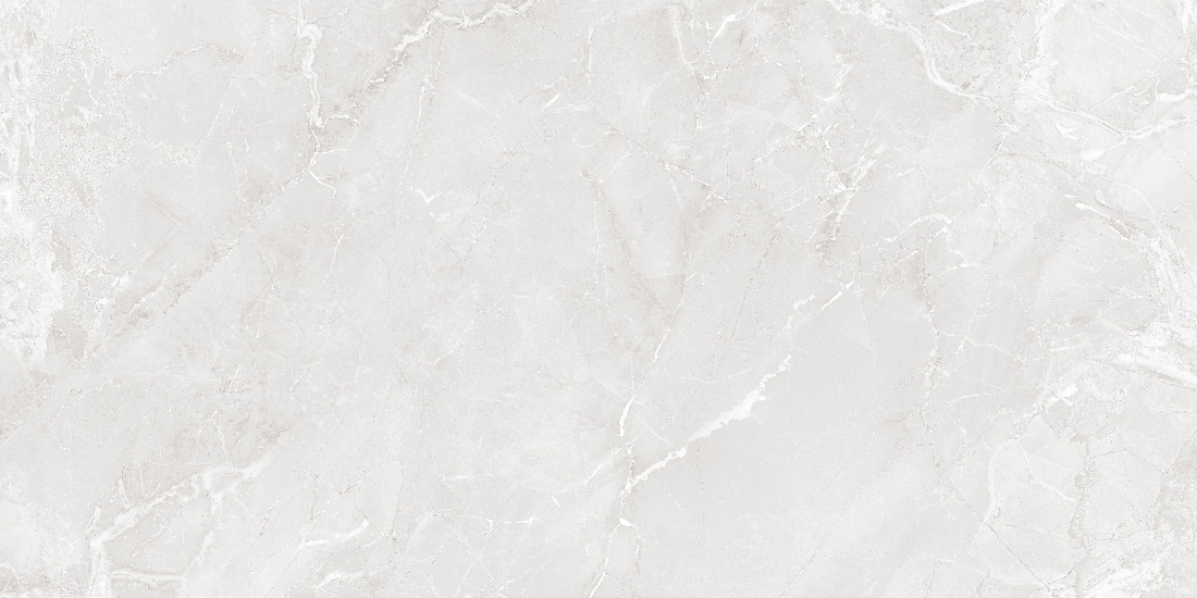 طوسی روشن/ Face2