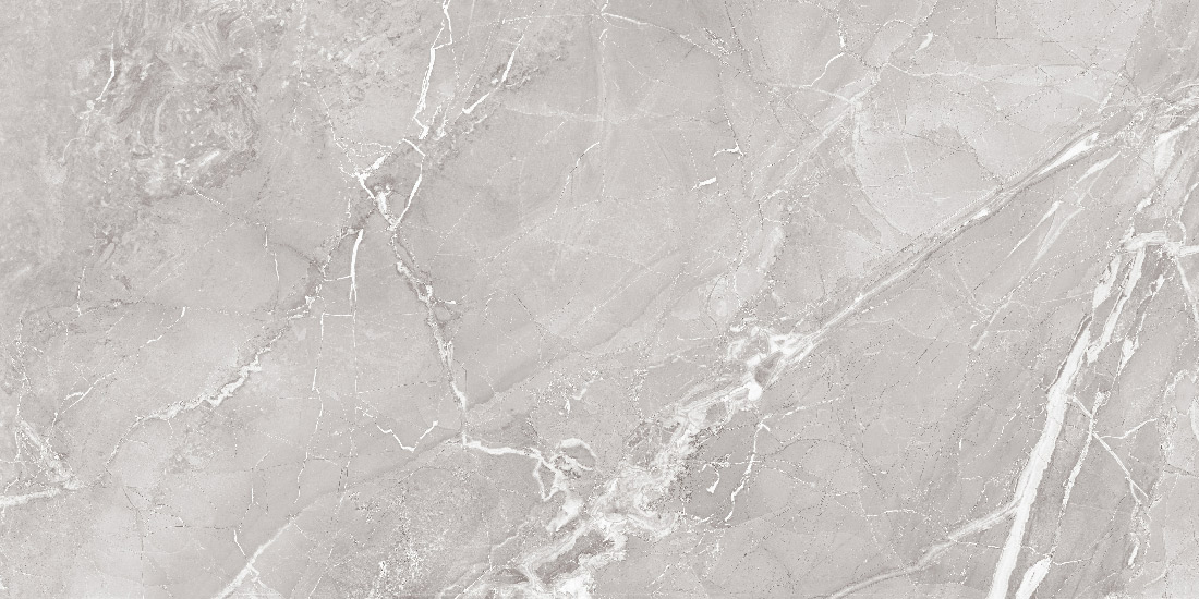 طوسی تیره/ Face1