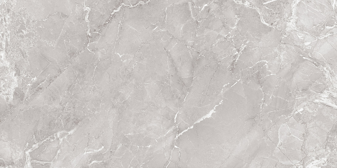 طوسی تیره/ Face2