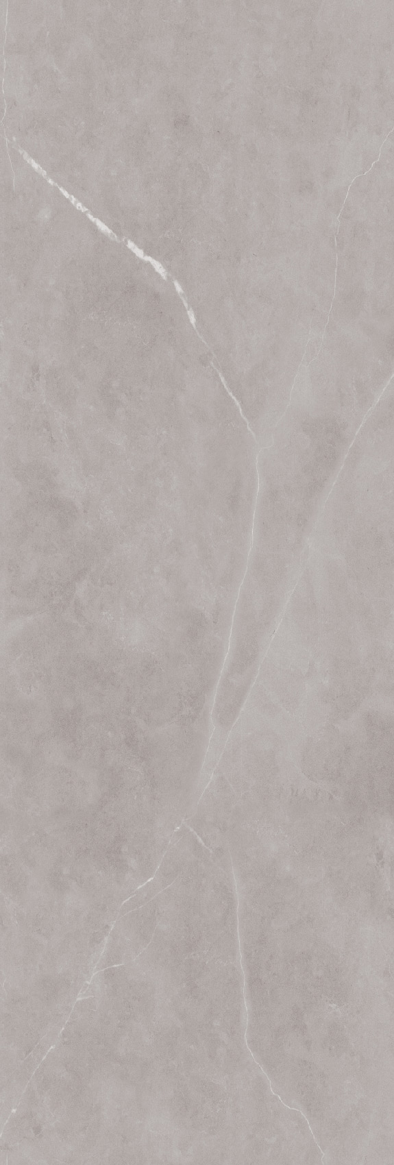 طوسی تیره/ Face1