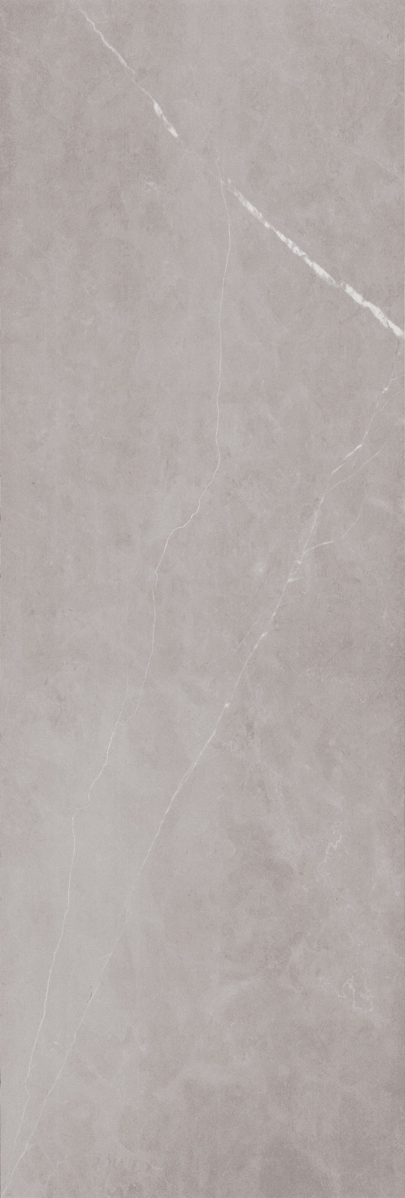 طوسی تیره/ Face2