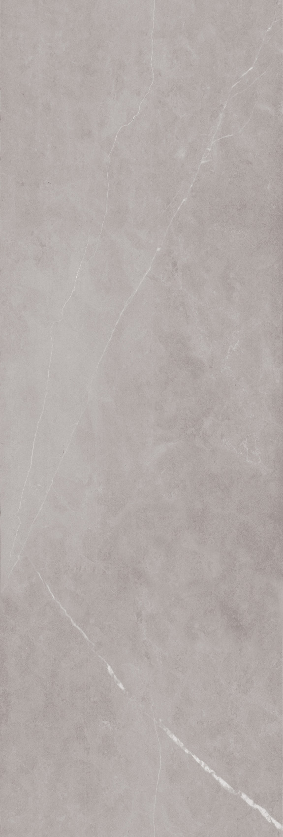 طوسی تیره/ Face3