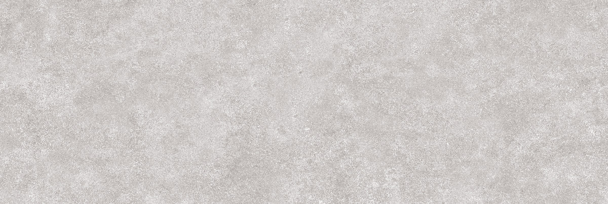 طوسی تیره/ Face1